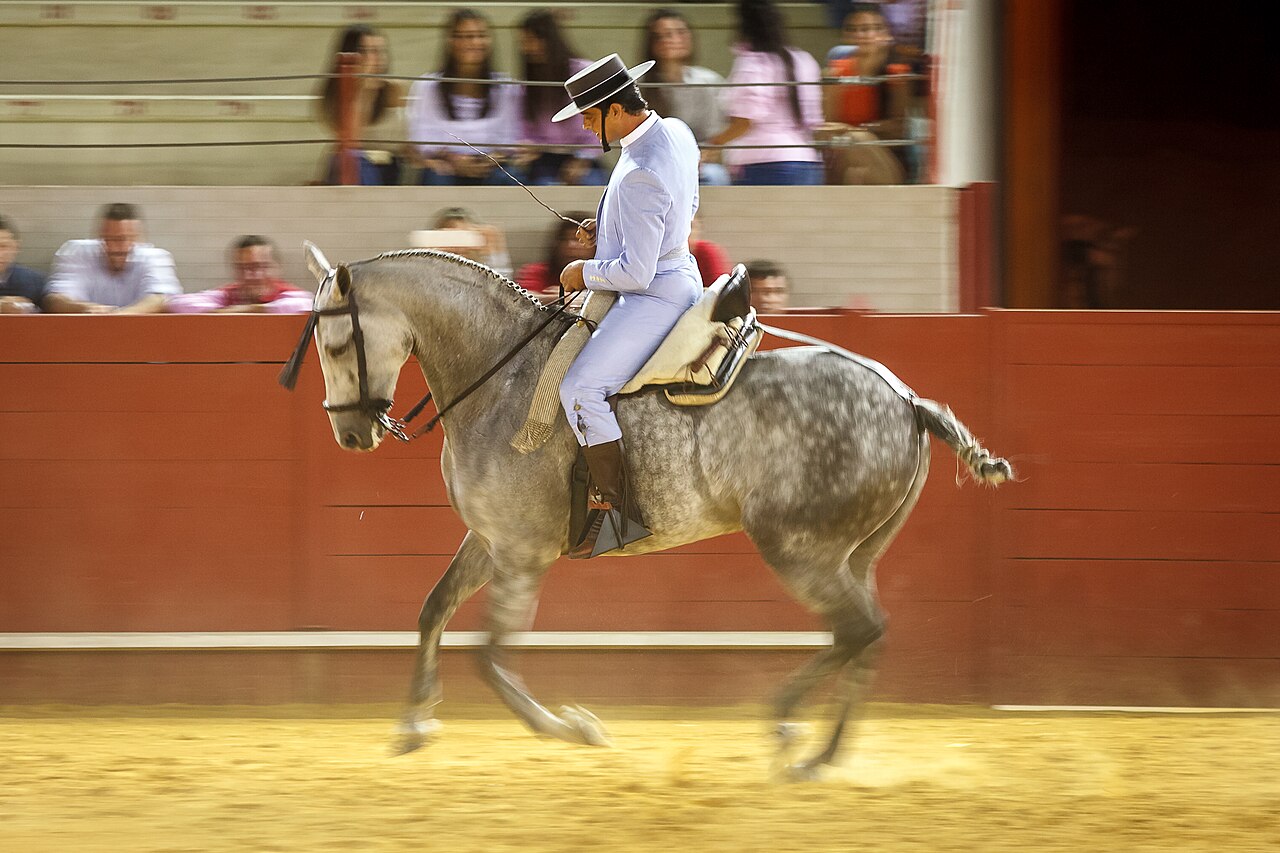 Hispano