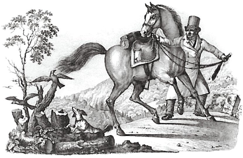 Erlenbach horse