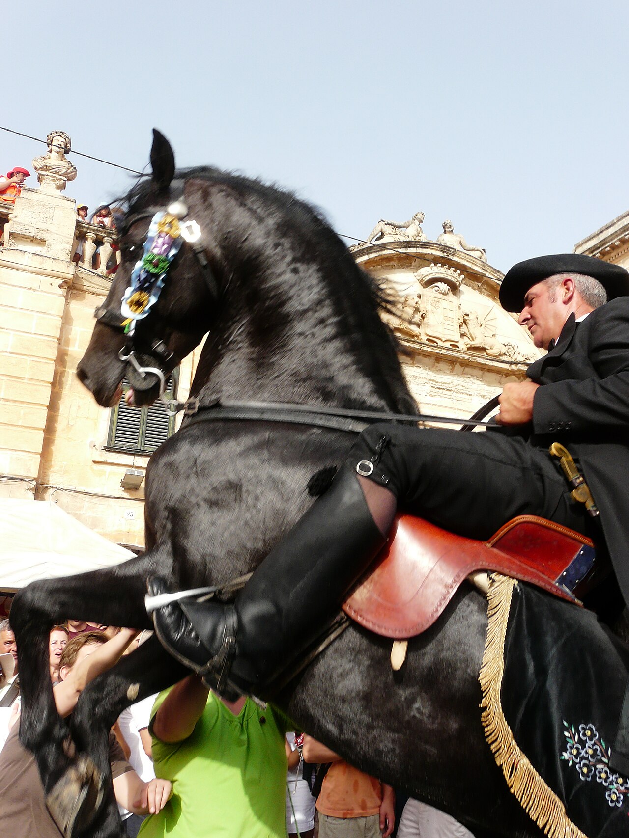 Menorquín horse