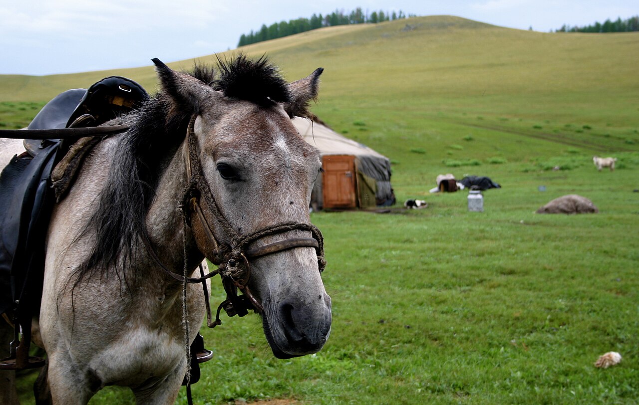 Tuva
