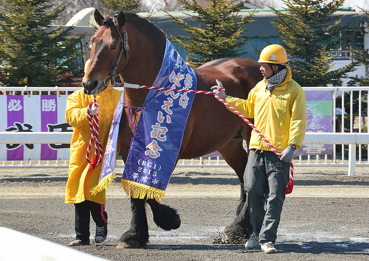 Ban-ei Race Horse