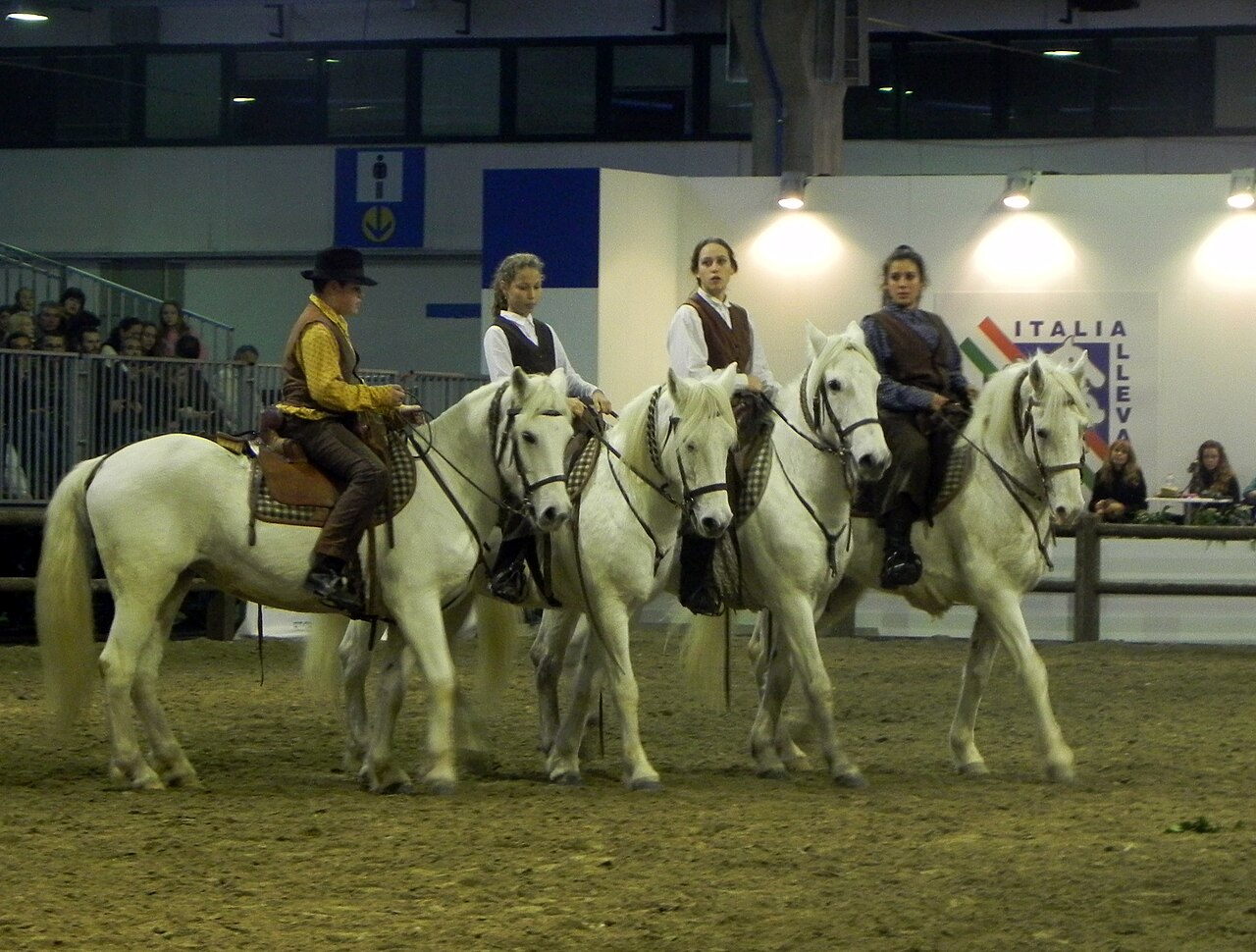 Cavallo del Delta