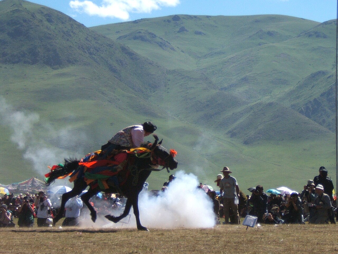 Yushu