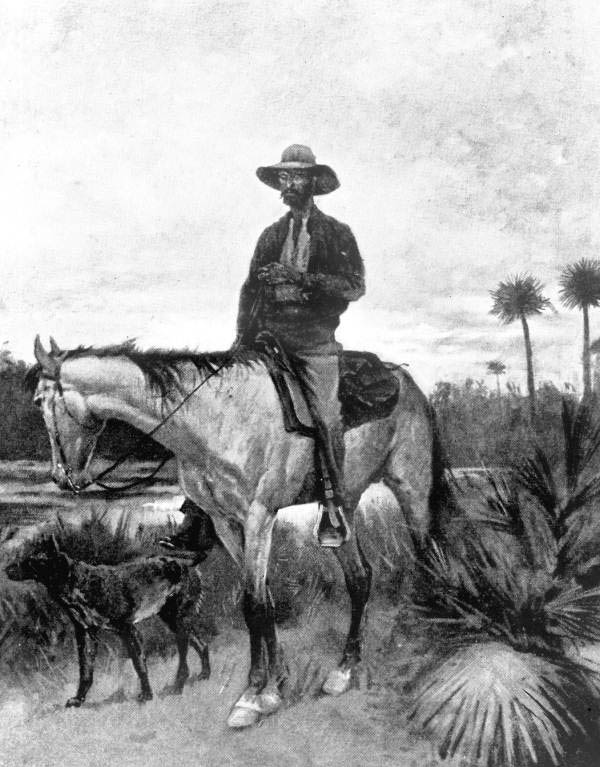 Florida Cracker Horse