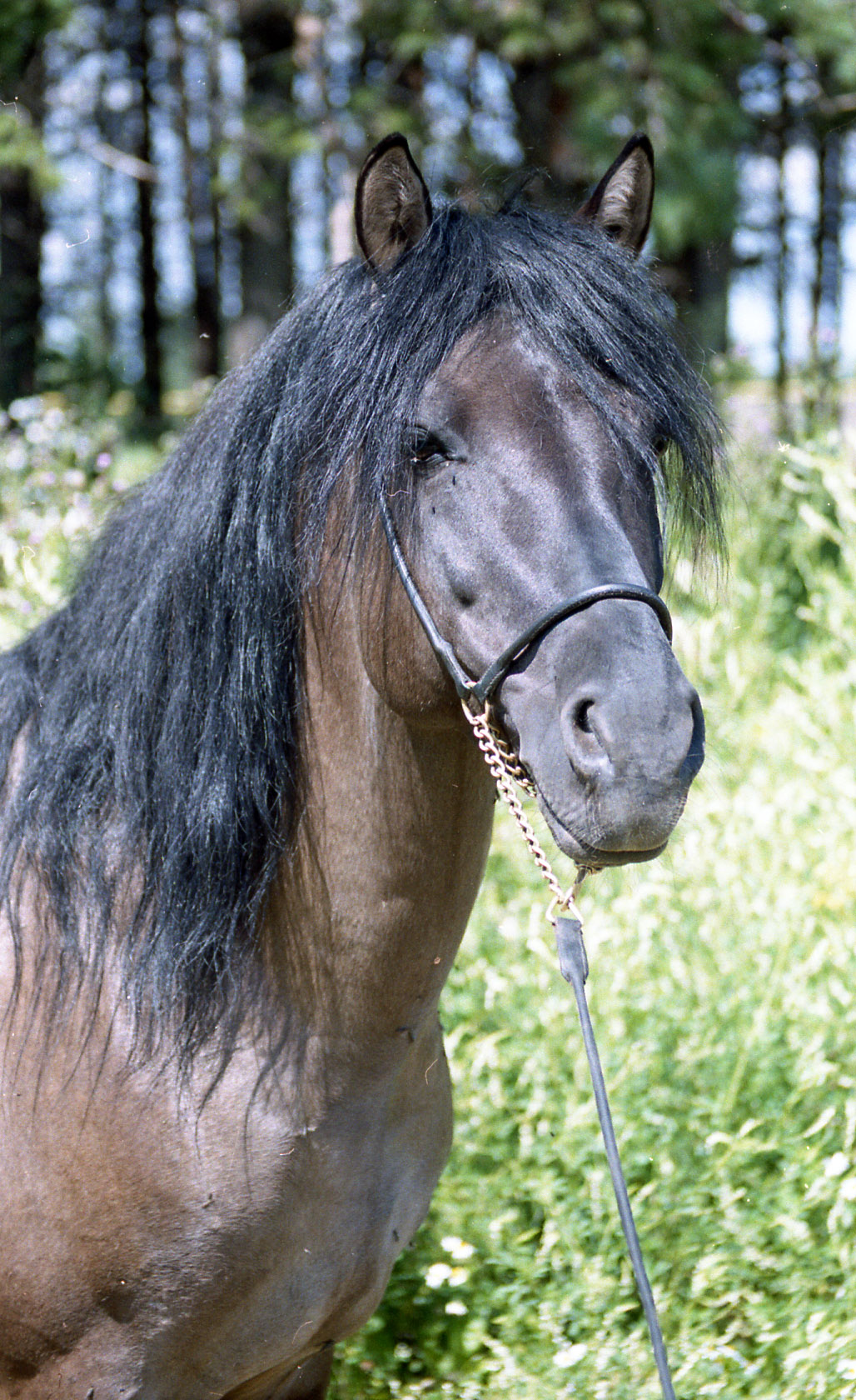 Wiatka