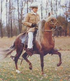 Paso Peruano