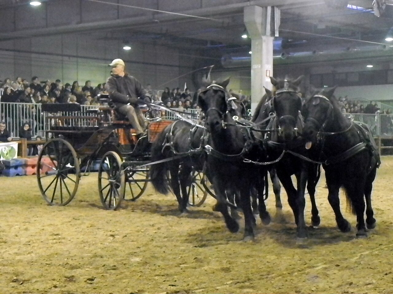 Esperia Pony